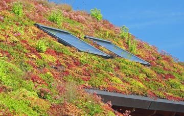 Lower Raydon living roof systems
