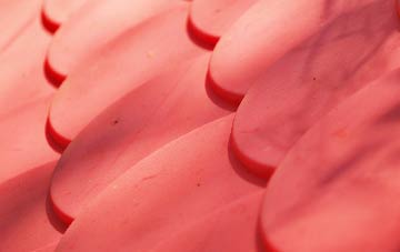 Lower Raydon plastic roof costs